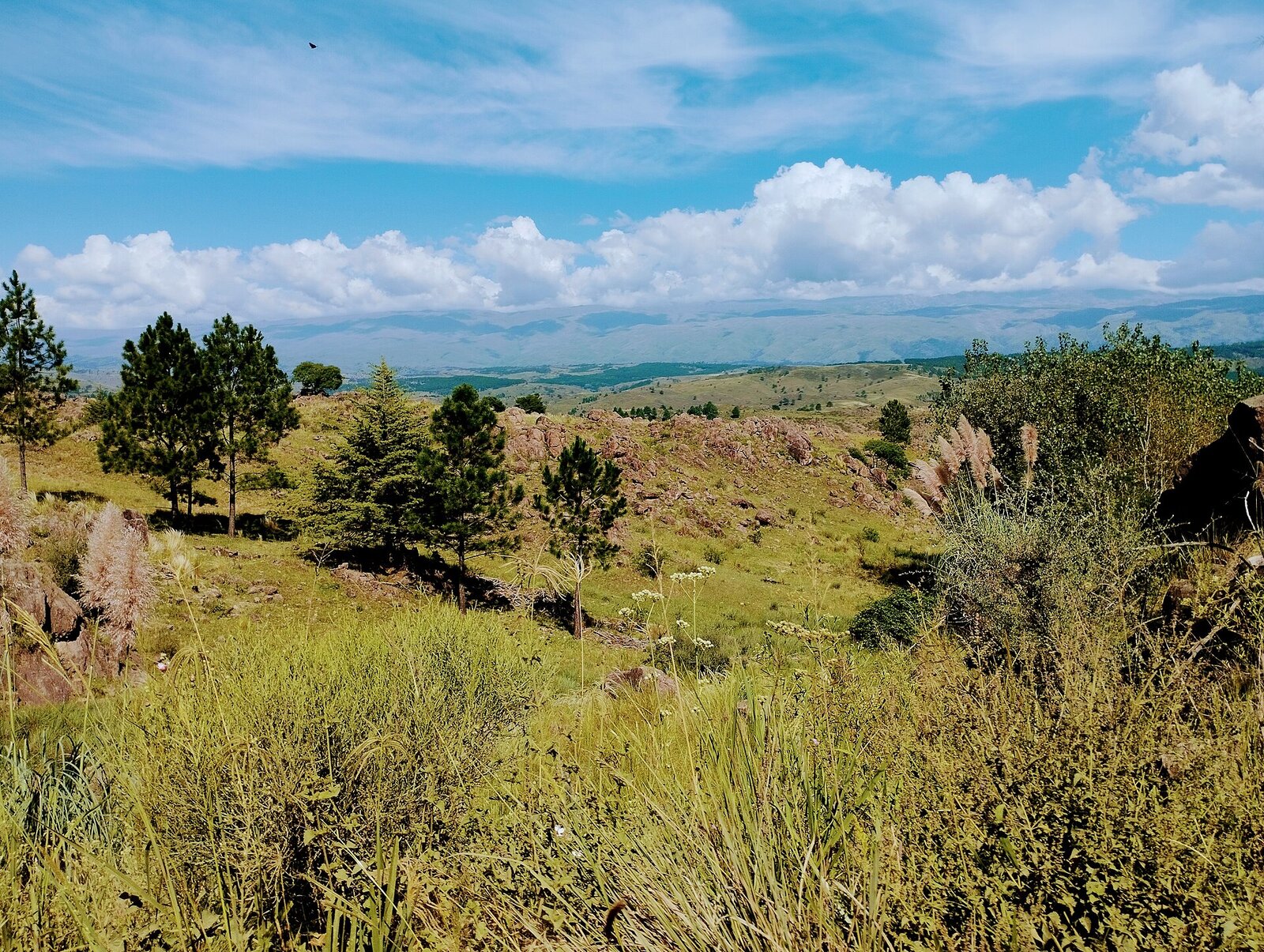 Campo 5,5 ha con vista panorámica 360° — Villa Berna — Global Calamuchita